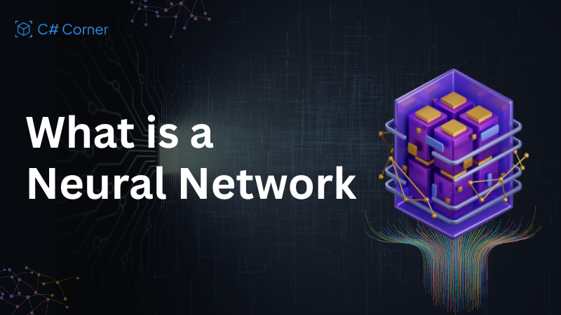 Neural Network
